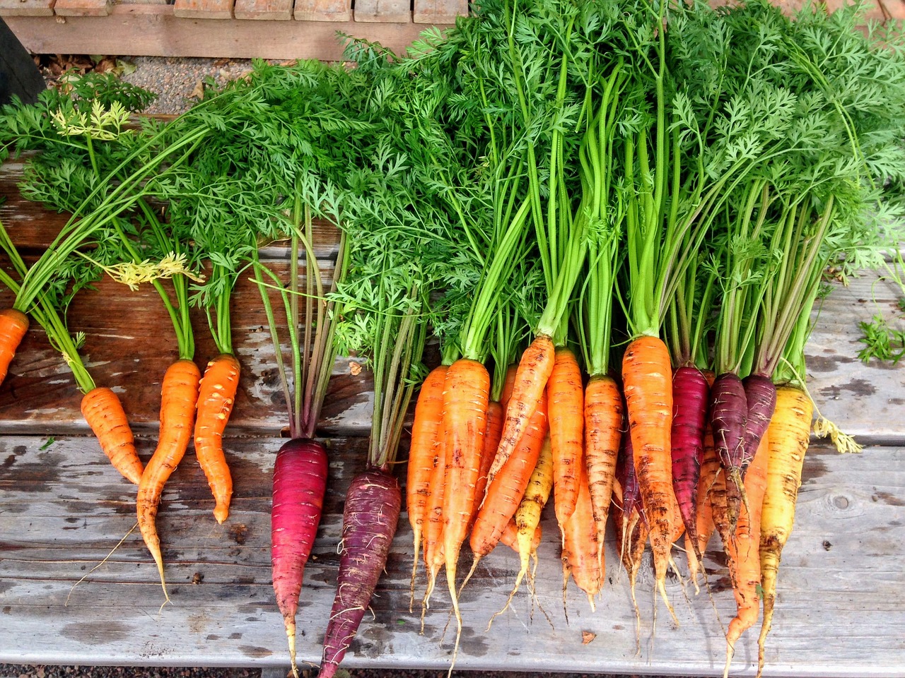 Download free photo of Carrot,carrots,produce,food,vegetable - from needpix.com