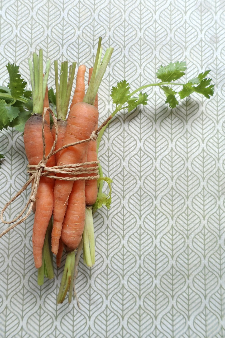 carrot organic orange free photo