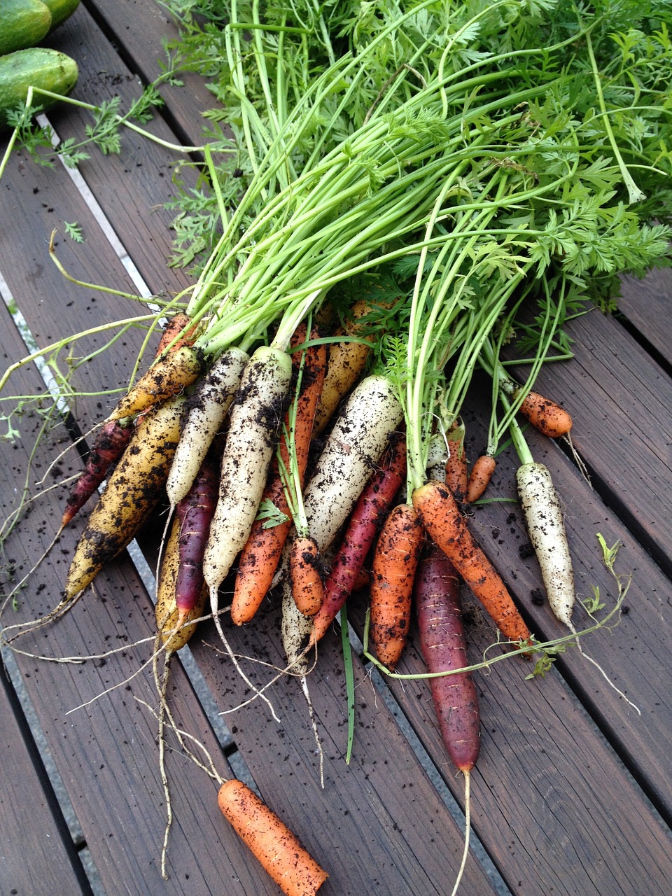 carrot carrots blast free photo