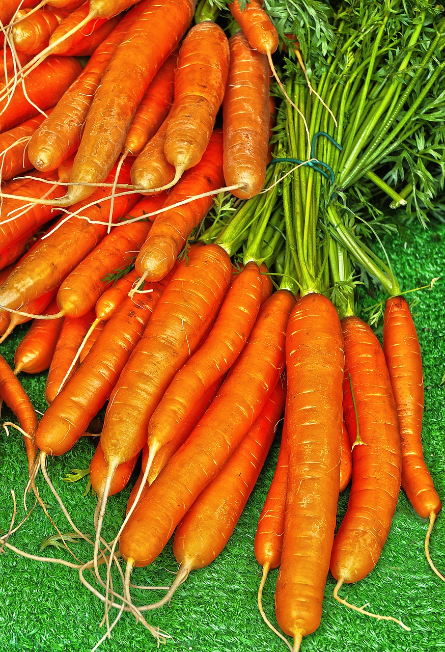 carrot yellow beet carrots free photo