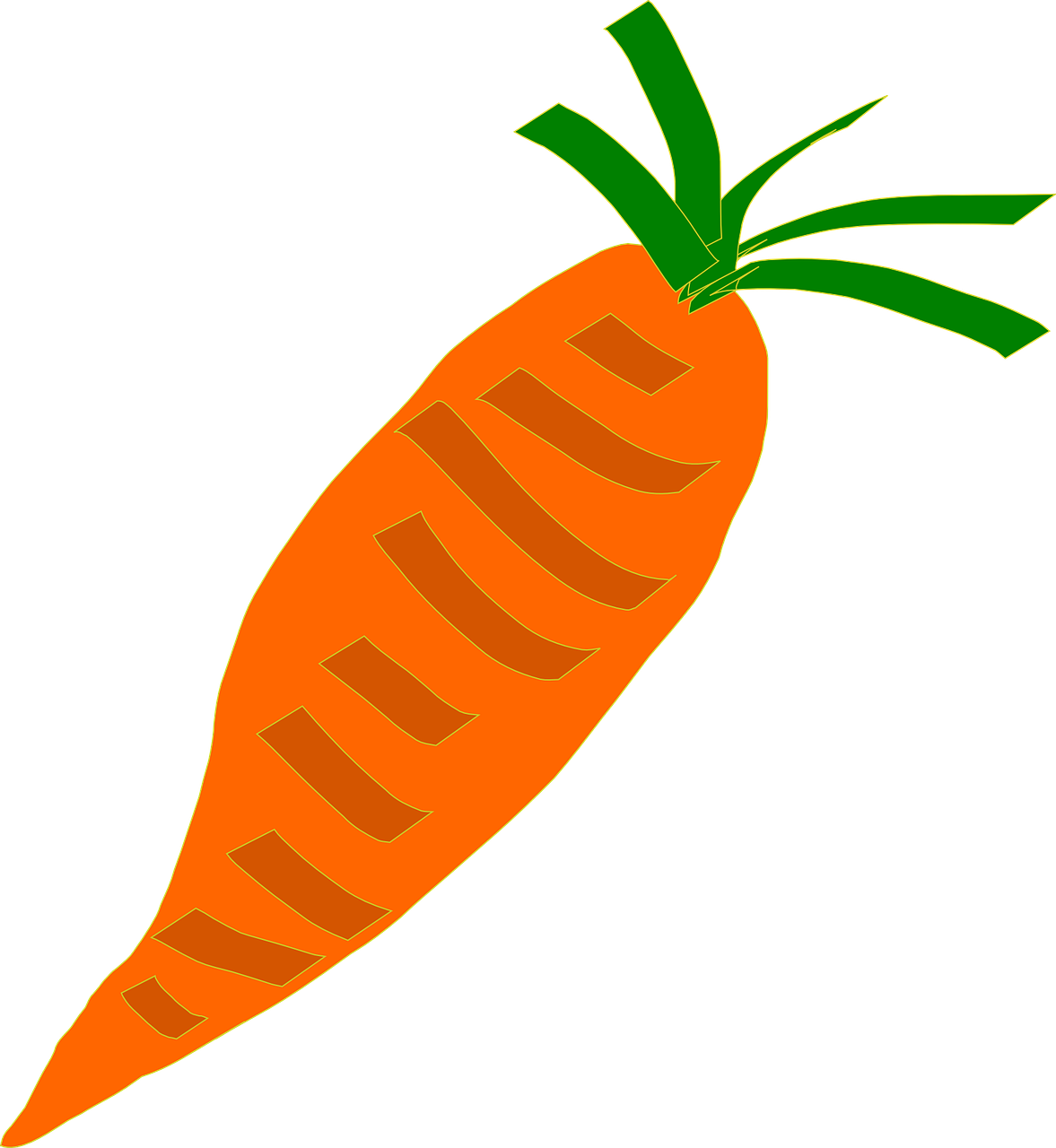 carrot orange vegetable free photo