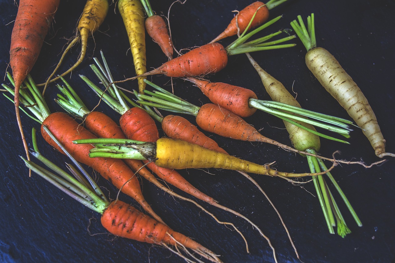 carrot  organic  food free photo