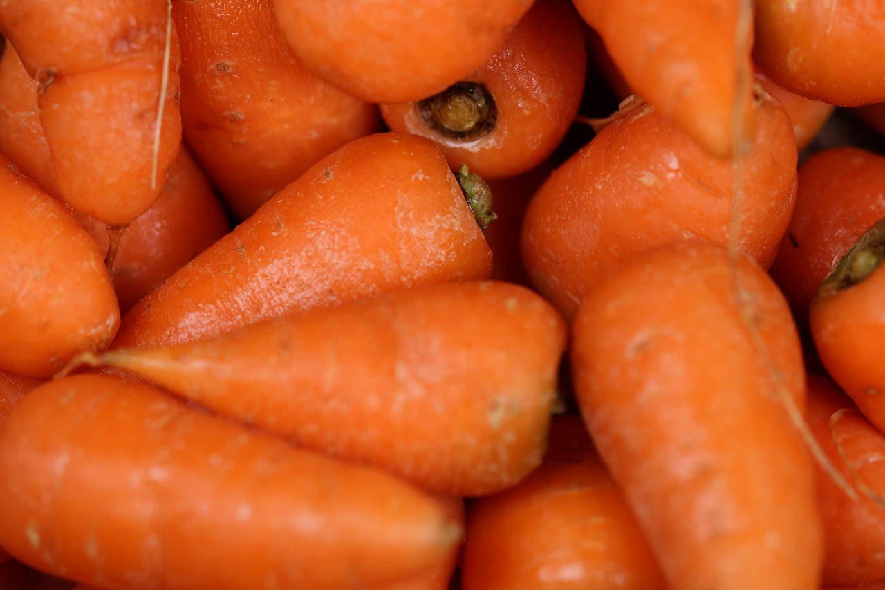 carrot  carrots  orange free photo