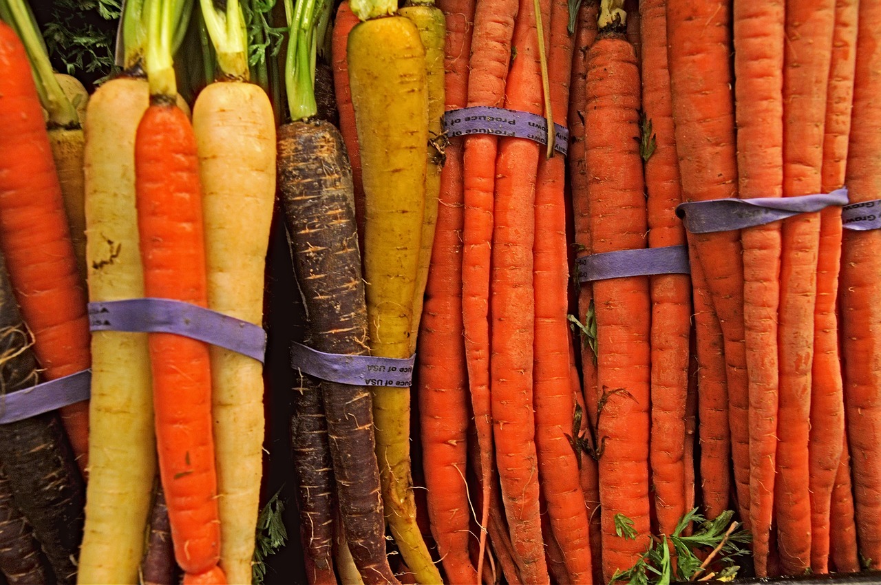carrot  carrots  produce free photo