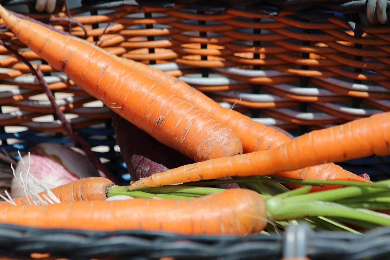 carrot  basket  harvest free photo