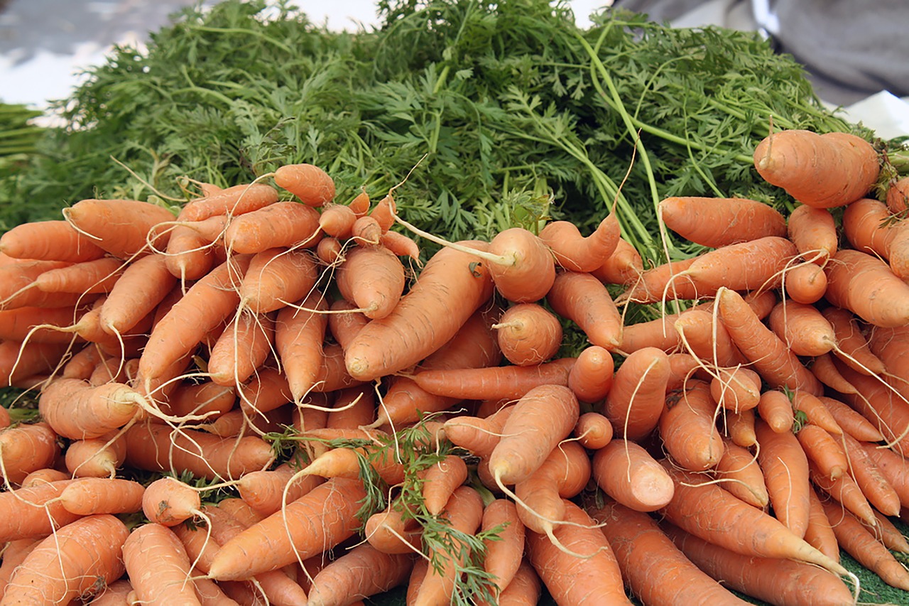 carrot  farmers  market free photo