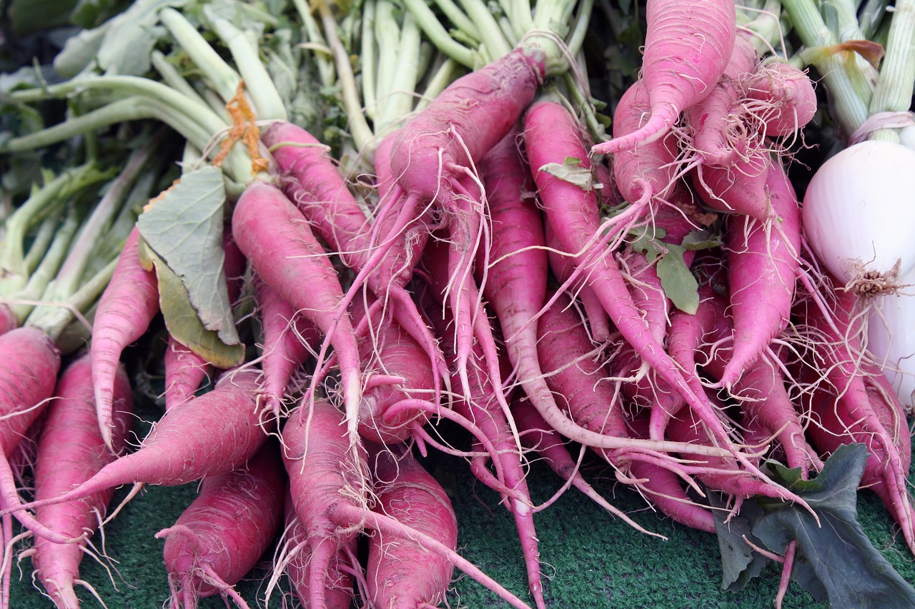 carrot  parsnip  farmers free photo