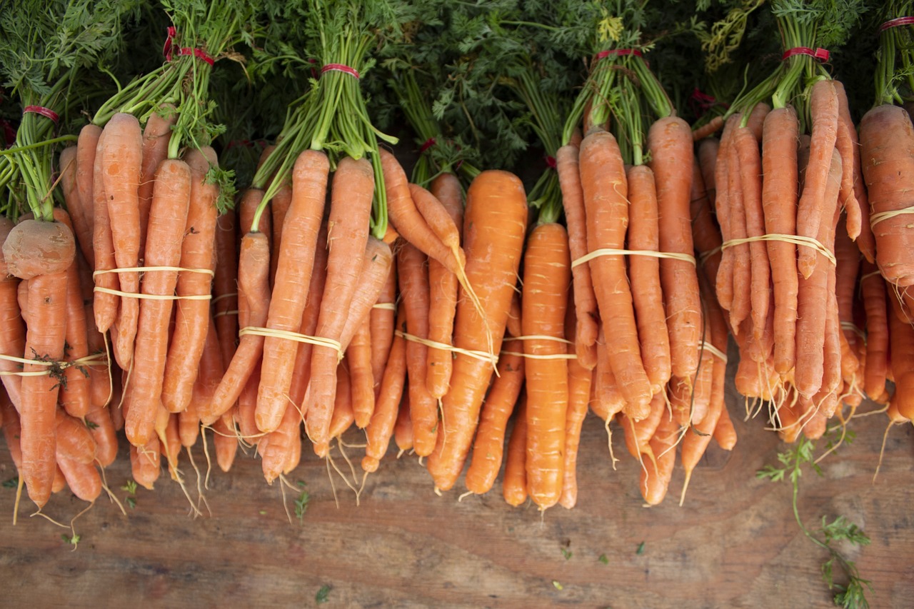 carrot  vegetable  farmers free photo