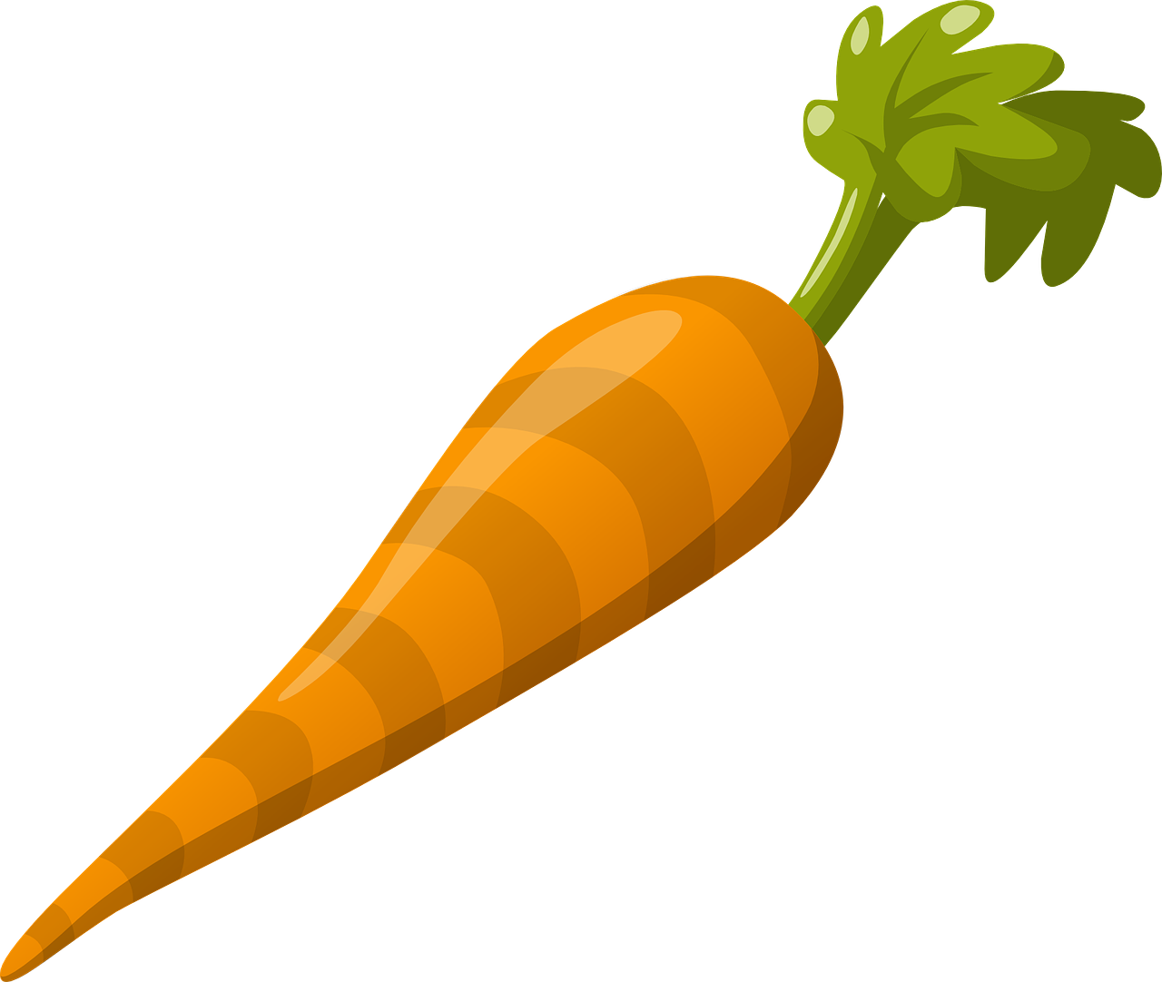 carrot vegetable food free photo