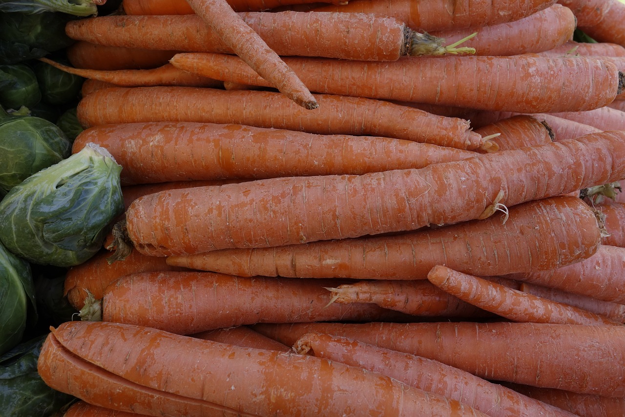 carrot food fresh free photo