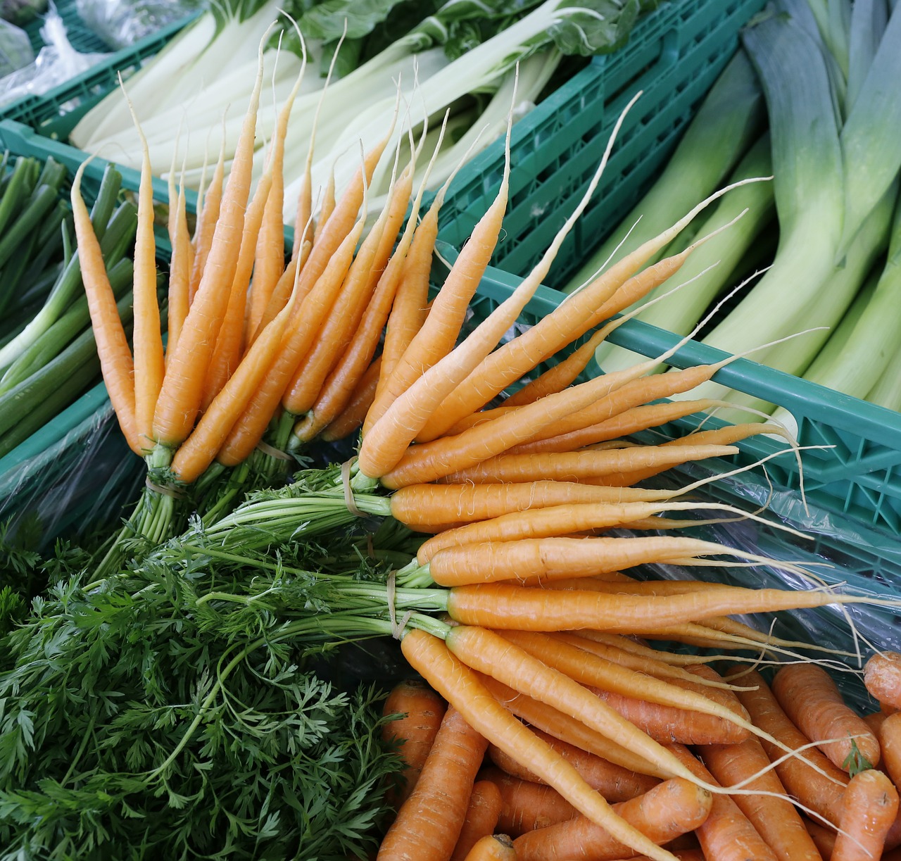 carrot vegetables market free photo