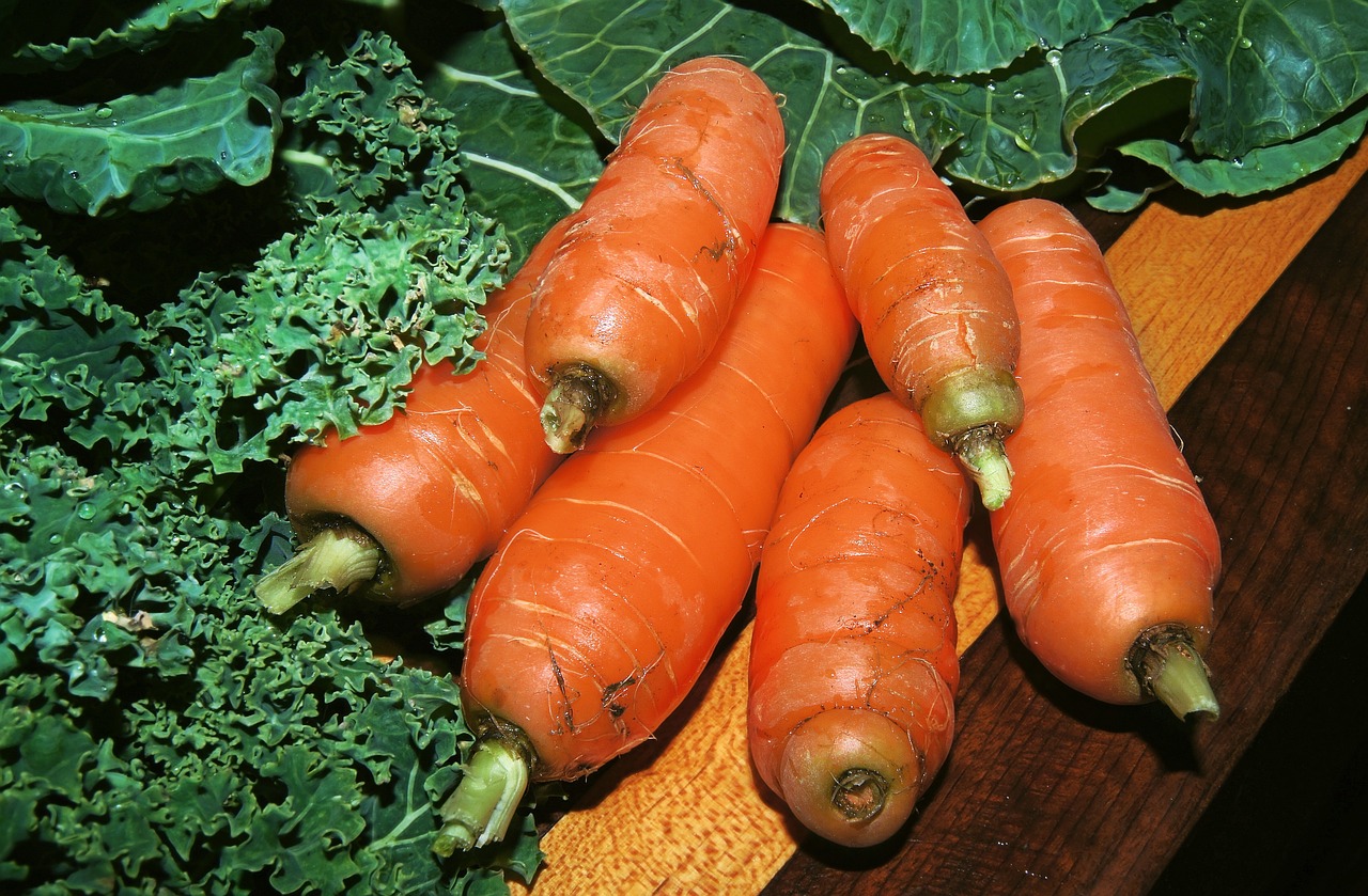 carrot veggies vegetable free photo