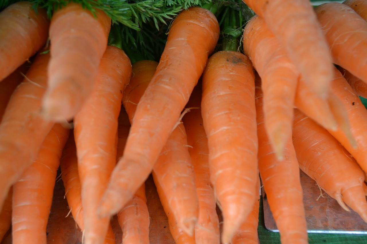 carrot fair vegetables free photo