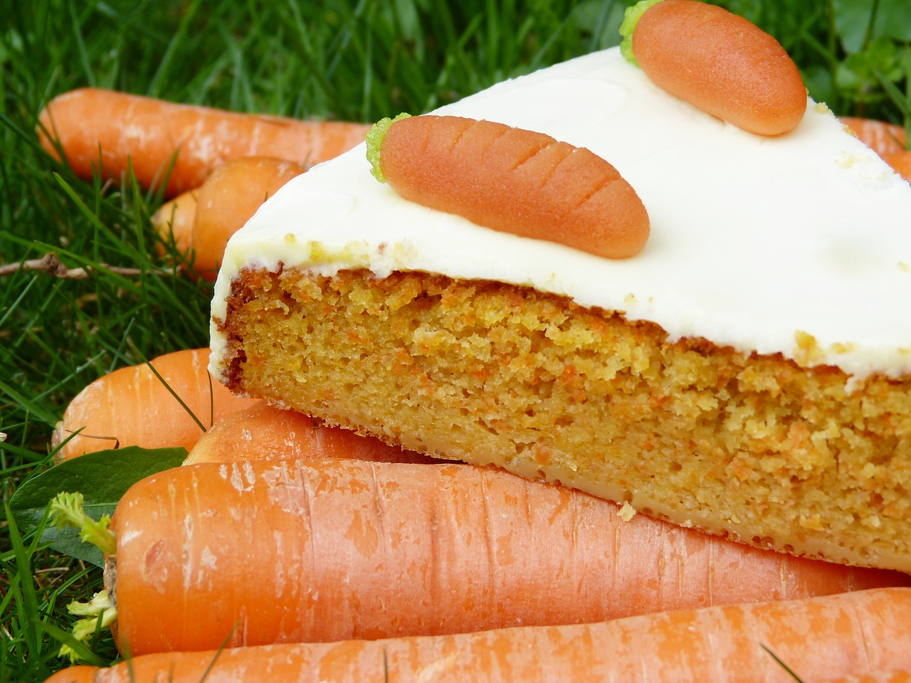 carrot cake rüblitorte rüblikuchen free photo