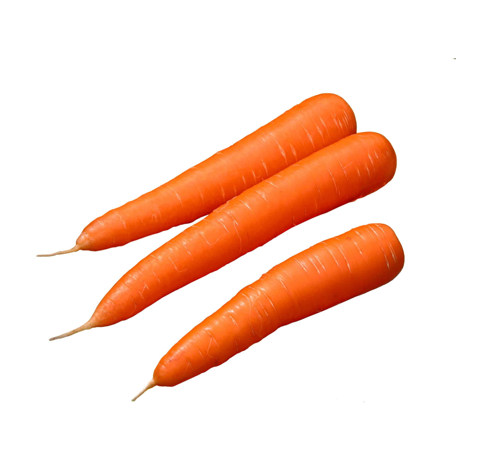 carrot isolated white background free photo