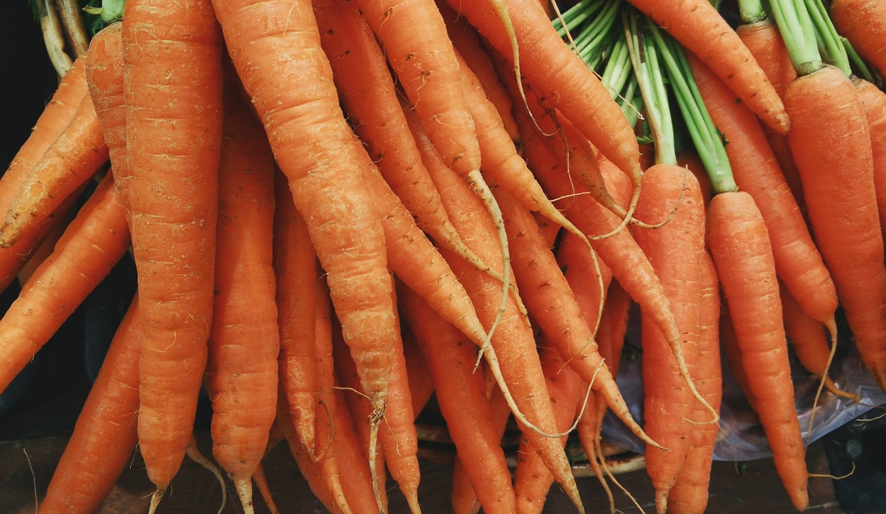 carrots vegetable food free photo