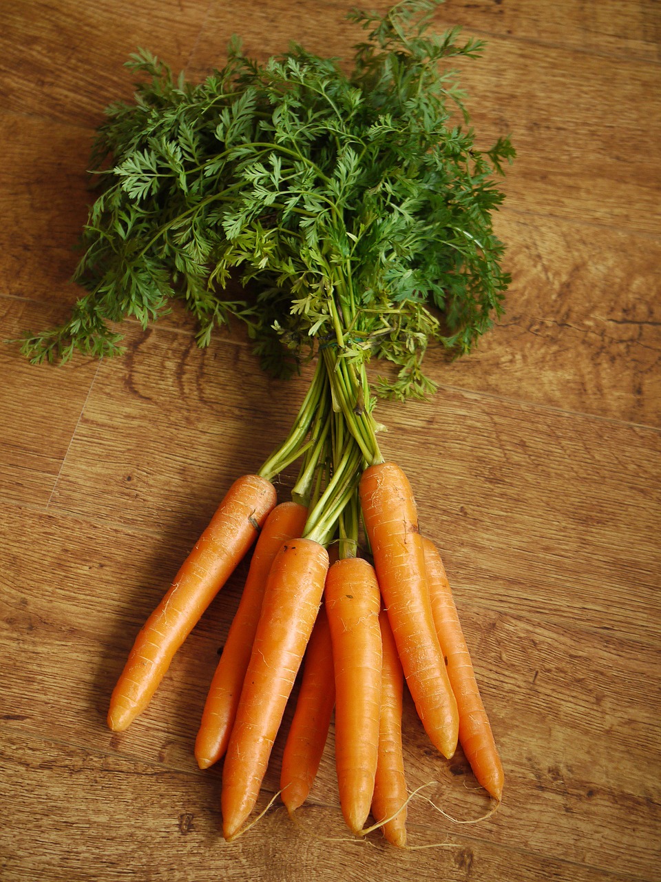 carrots carrot tops vegetable free photo