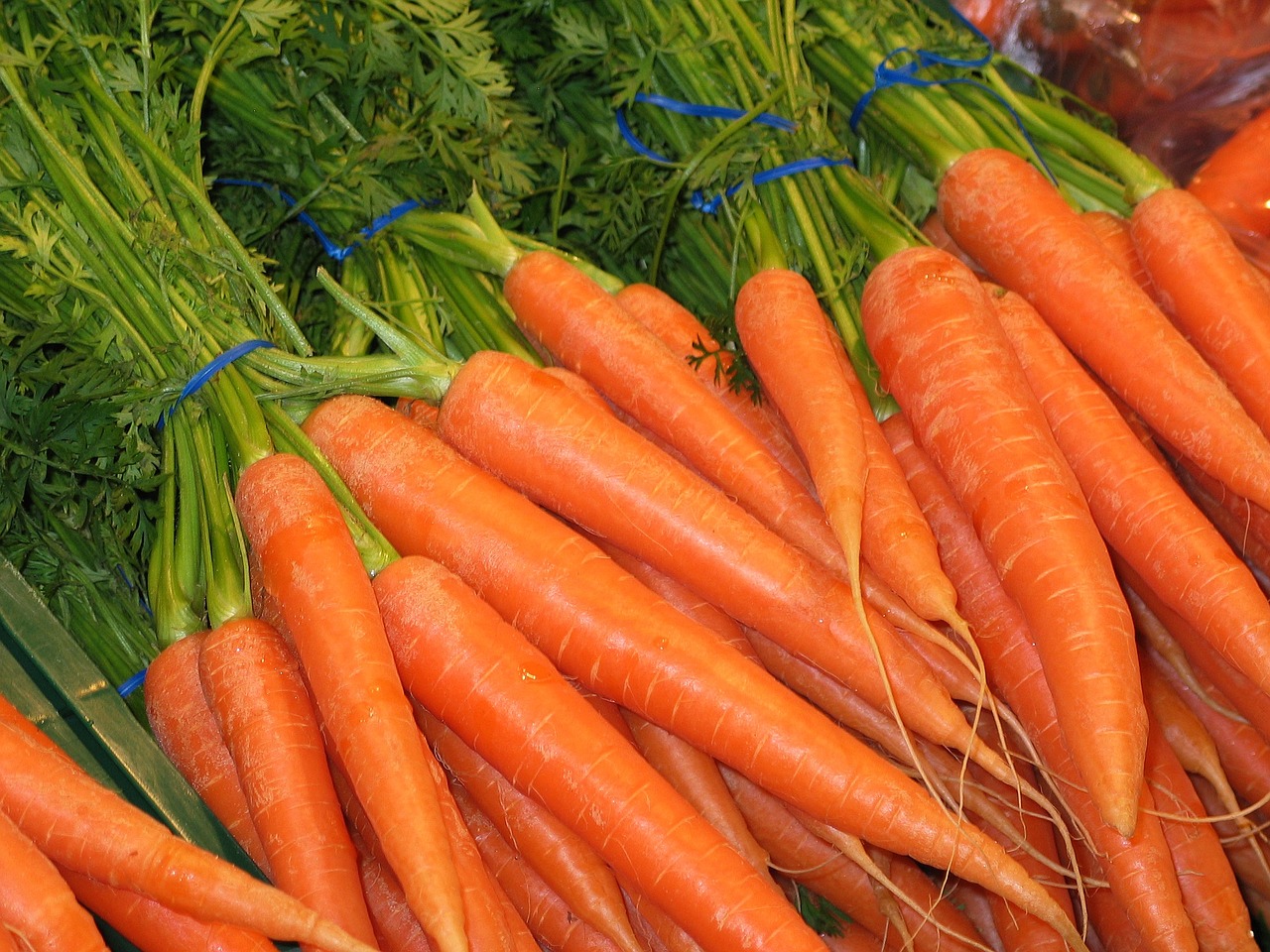 carrots federal carrots food free photo