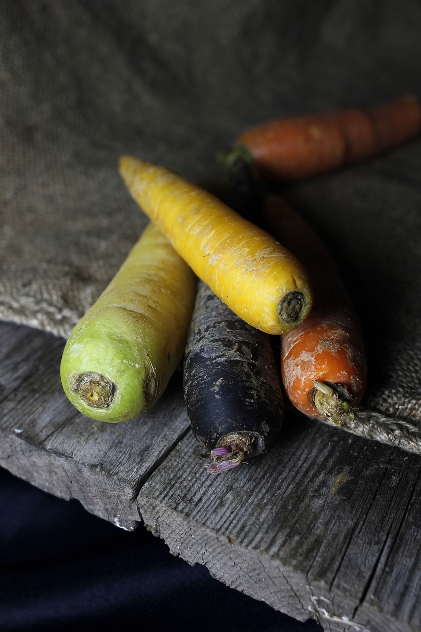 carrots carrot vegetables free photo