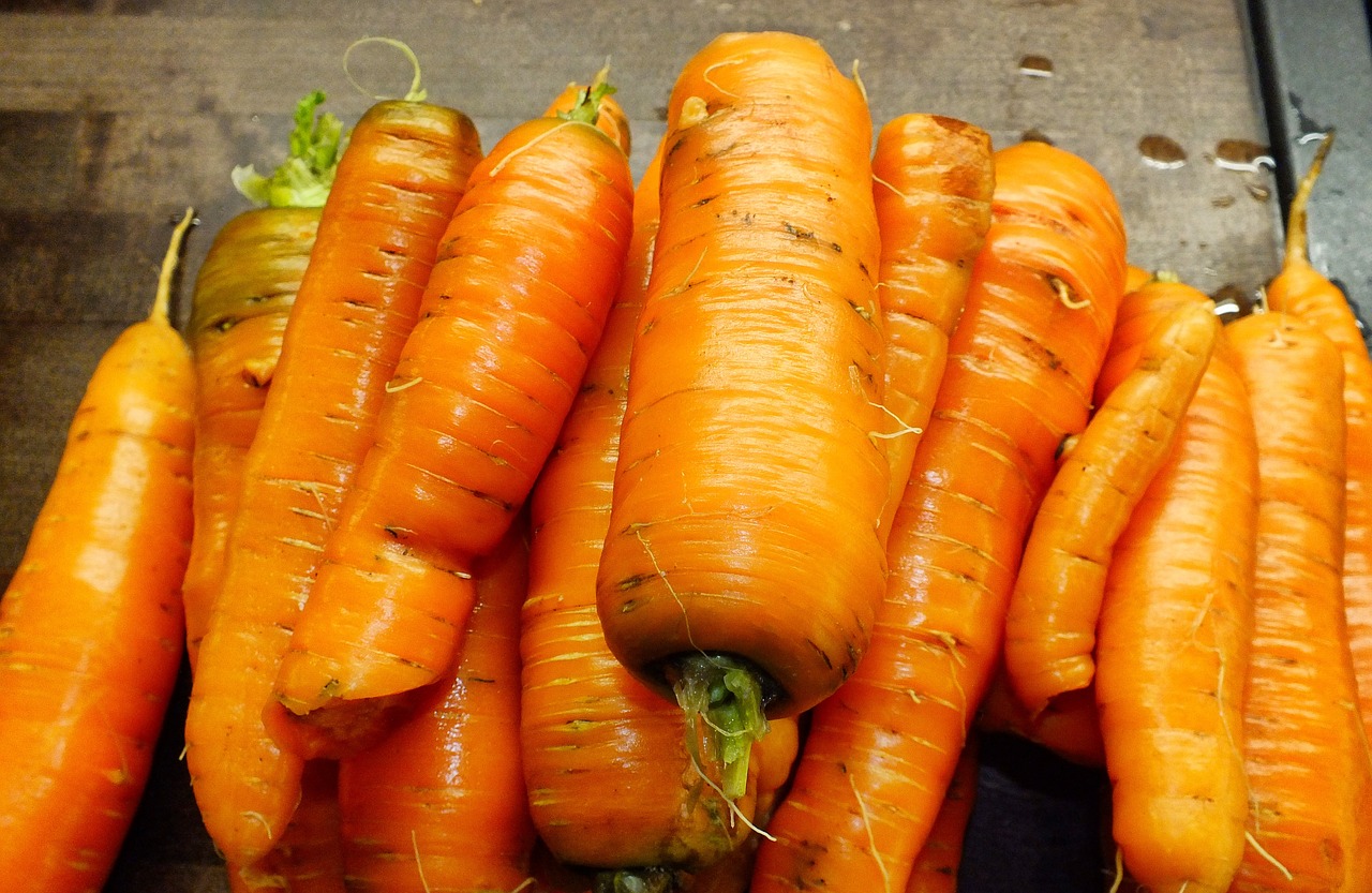 carrots orange carrots organic carrots free photo