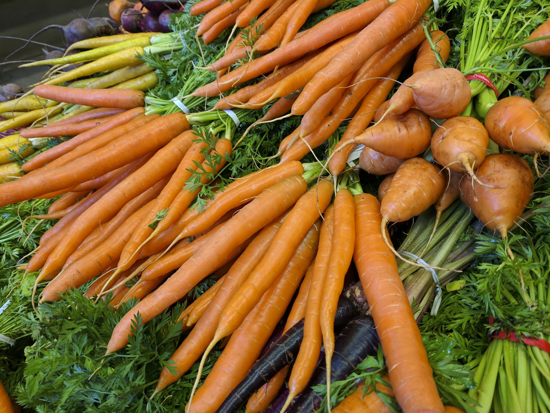 carrots carrot vegetable free photo