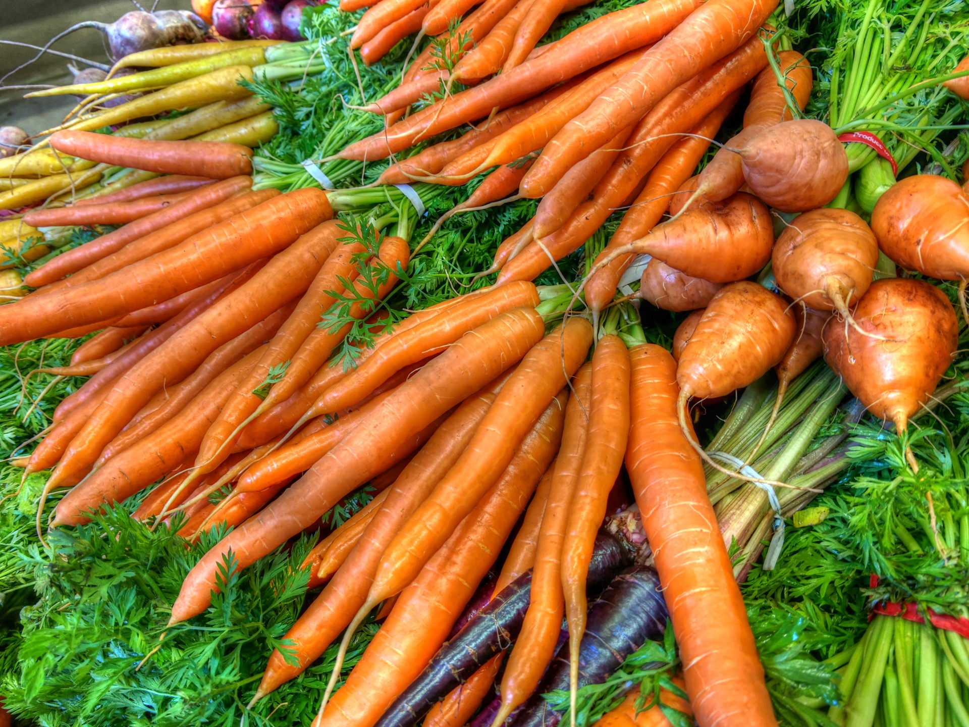 Download free photo of Carrot,carrots,vegetable,vegan,Kev noj qab haus huv - from needpix.com