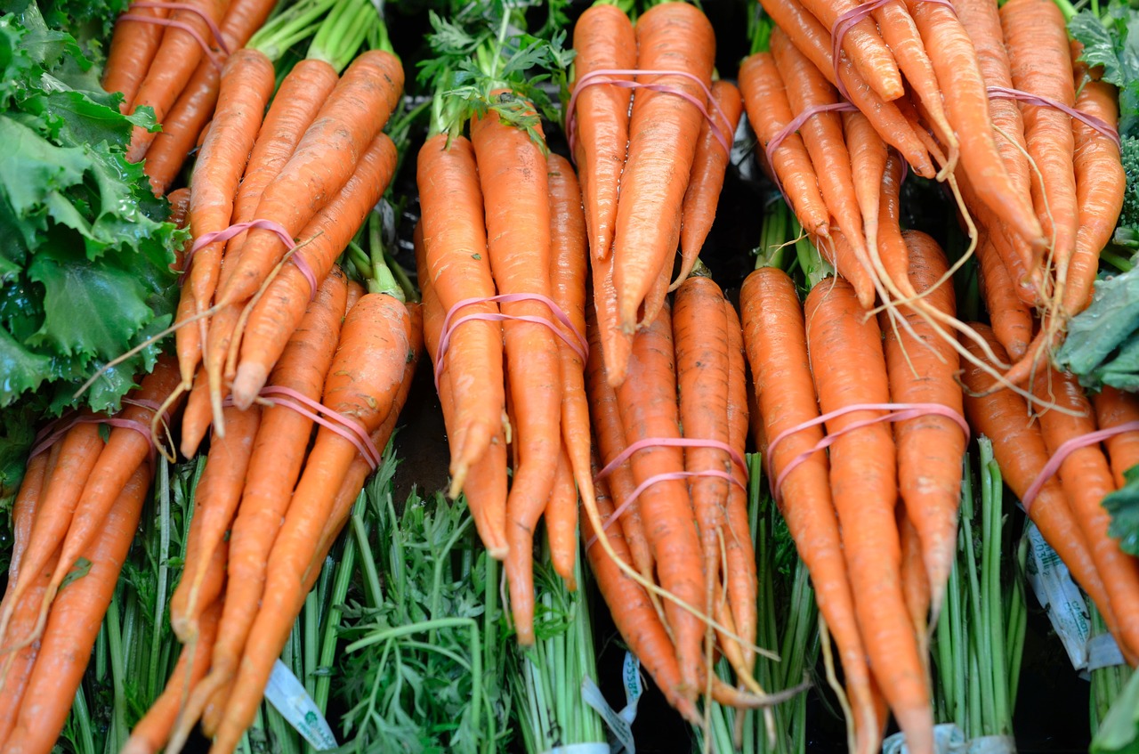 carrots orange veg free photo