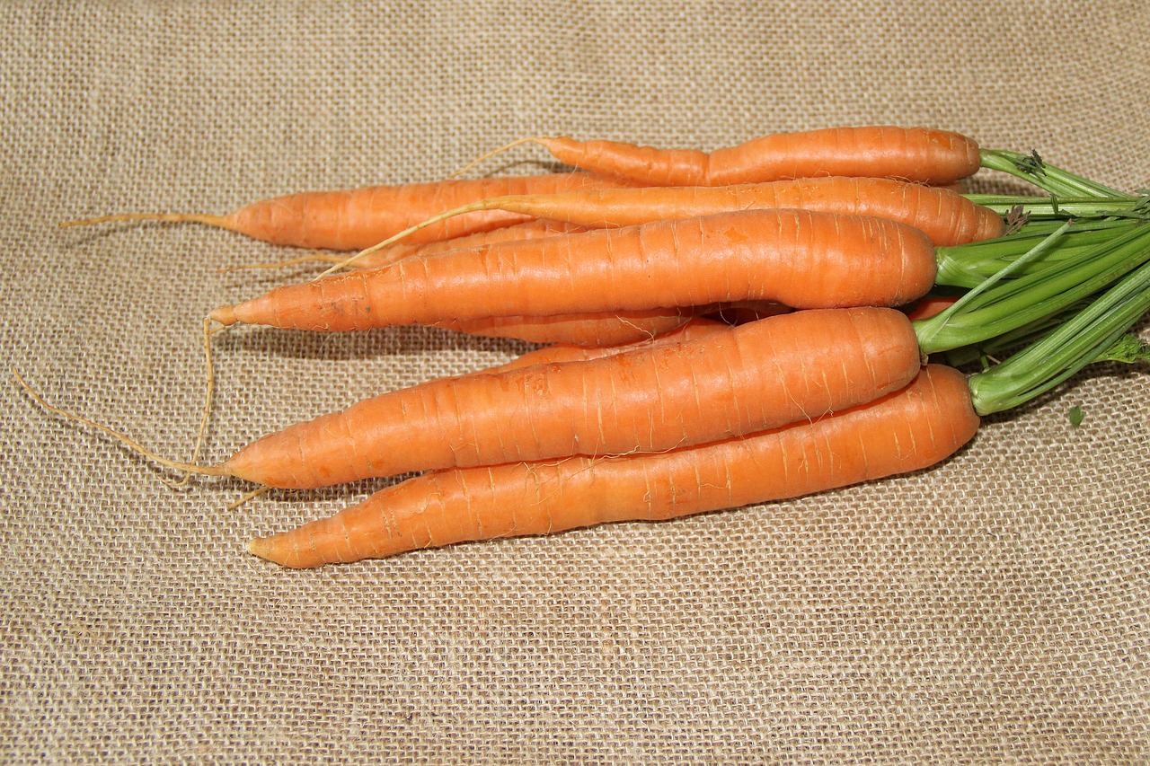 carrots federal carrots eat free photo