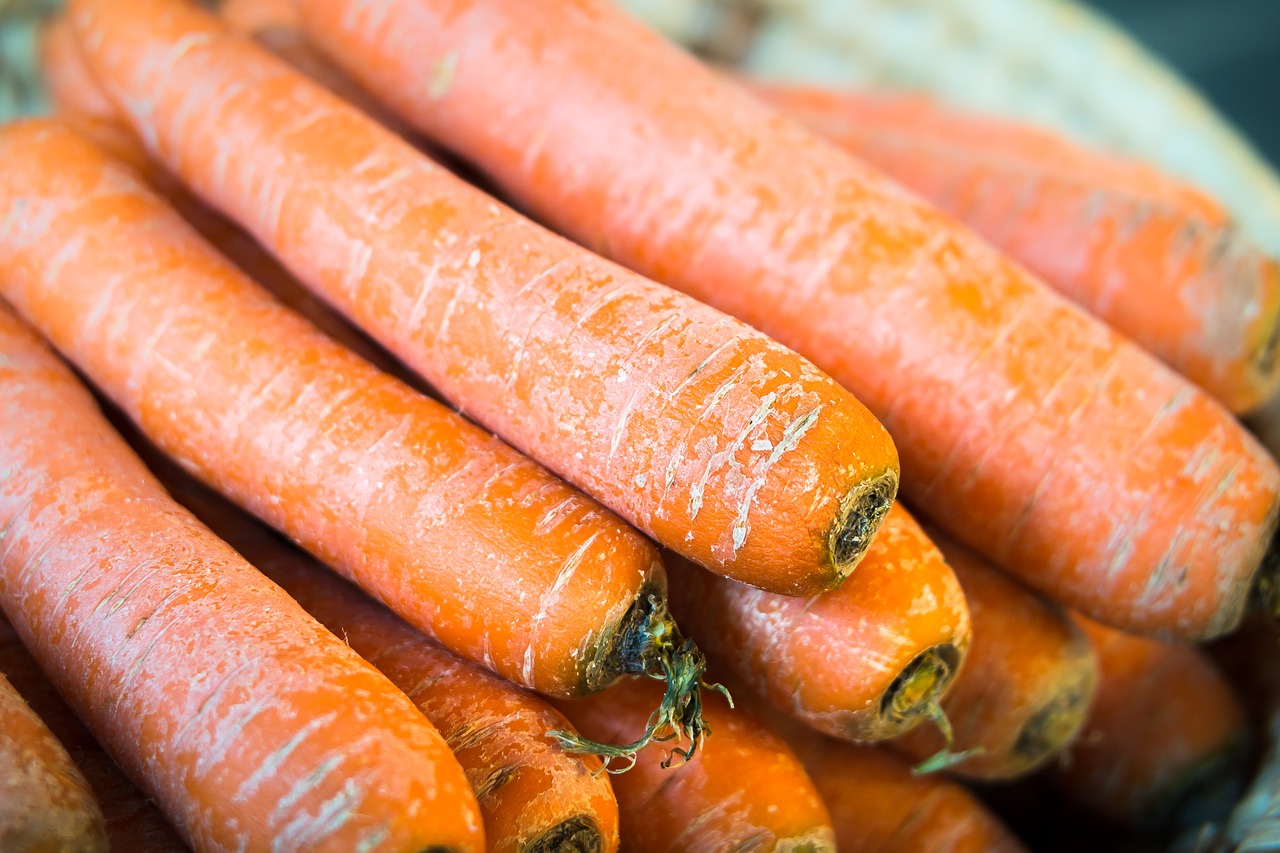 carrots vegetables thanksgiving free photo