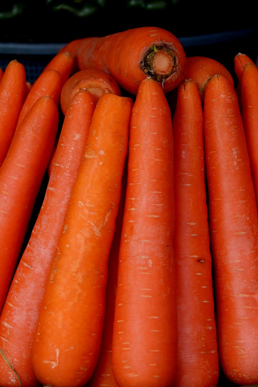 carrots vegetable greens free photo