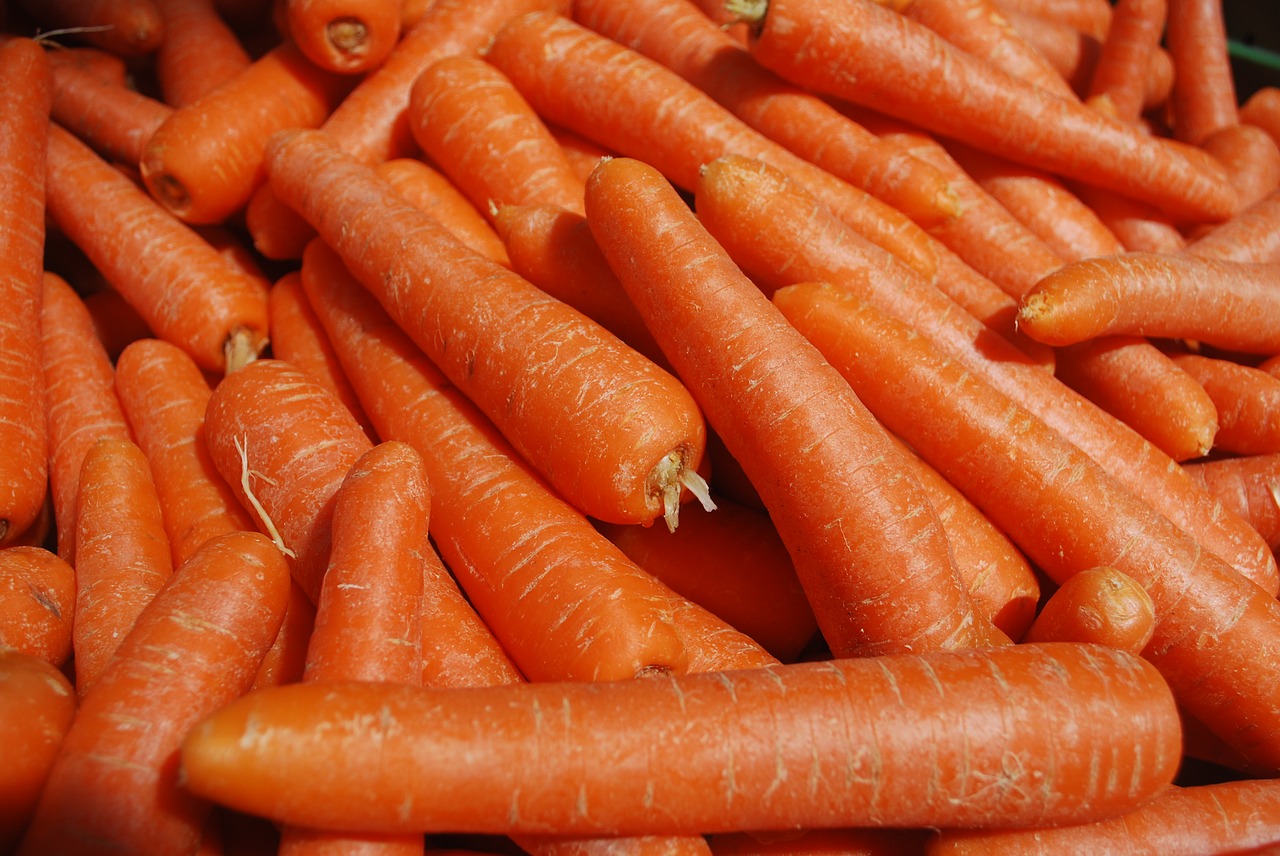 carrots healthy orange free photo