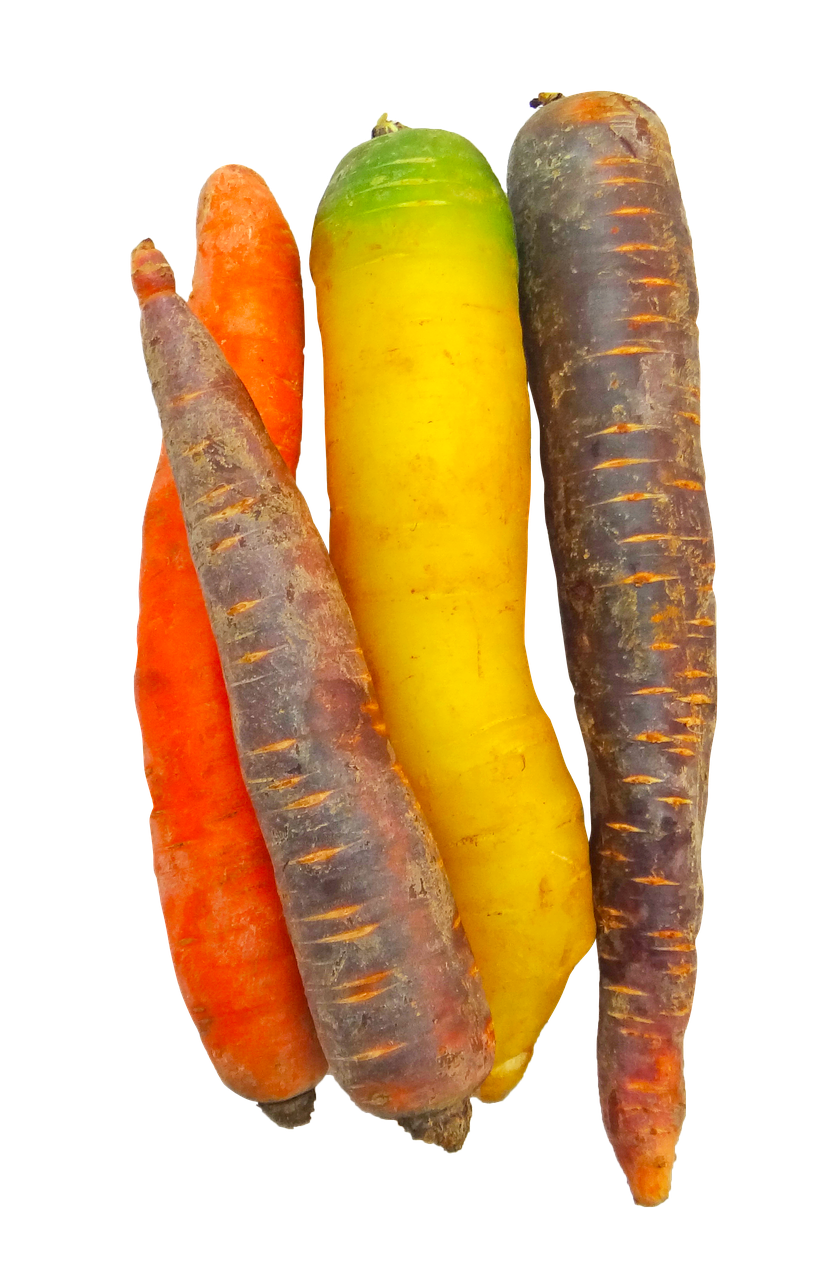 carrots rainbow food free photo