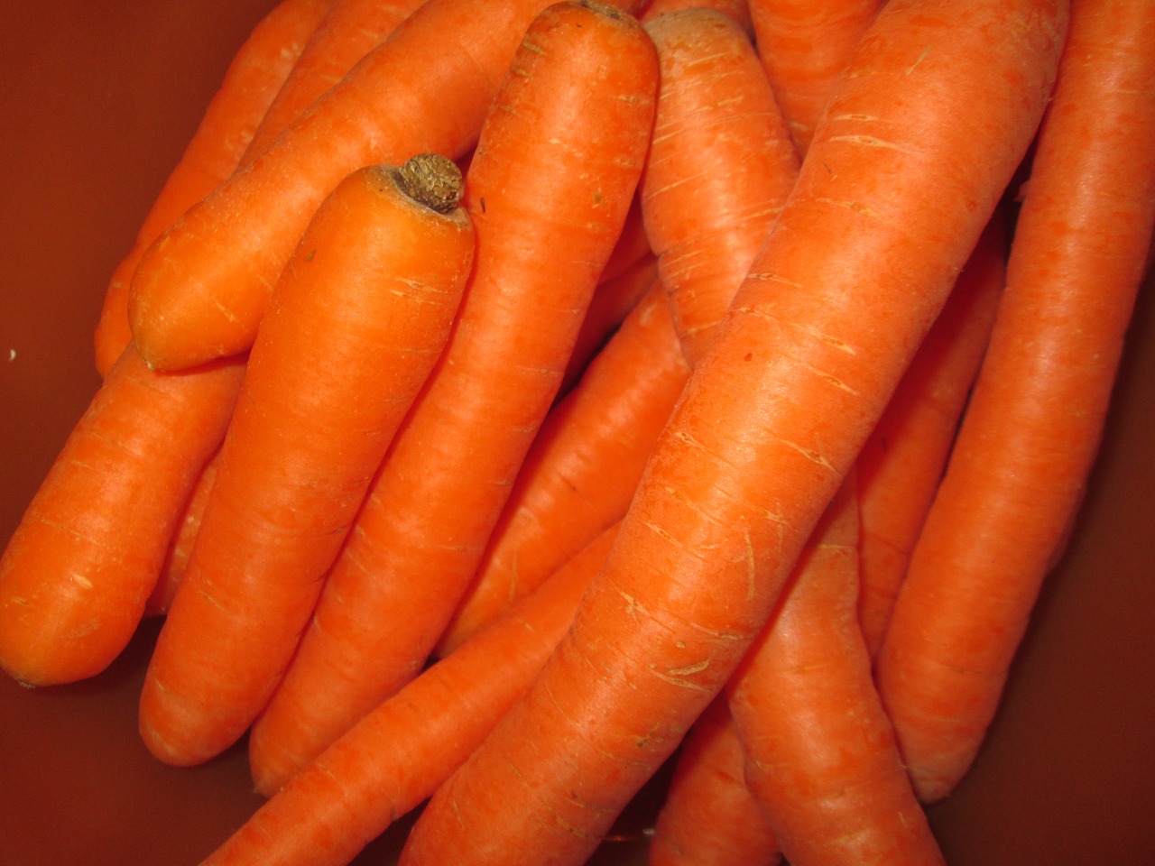 carrots vegetables food free photo