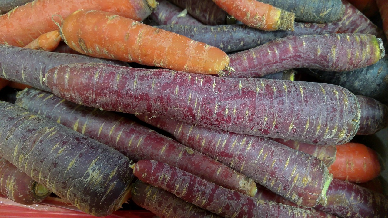 carrots vegetables vegetable garden free photo