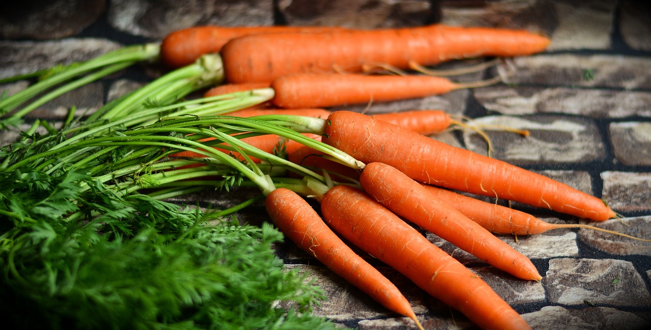 carrots vegetables harvest free photo