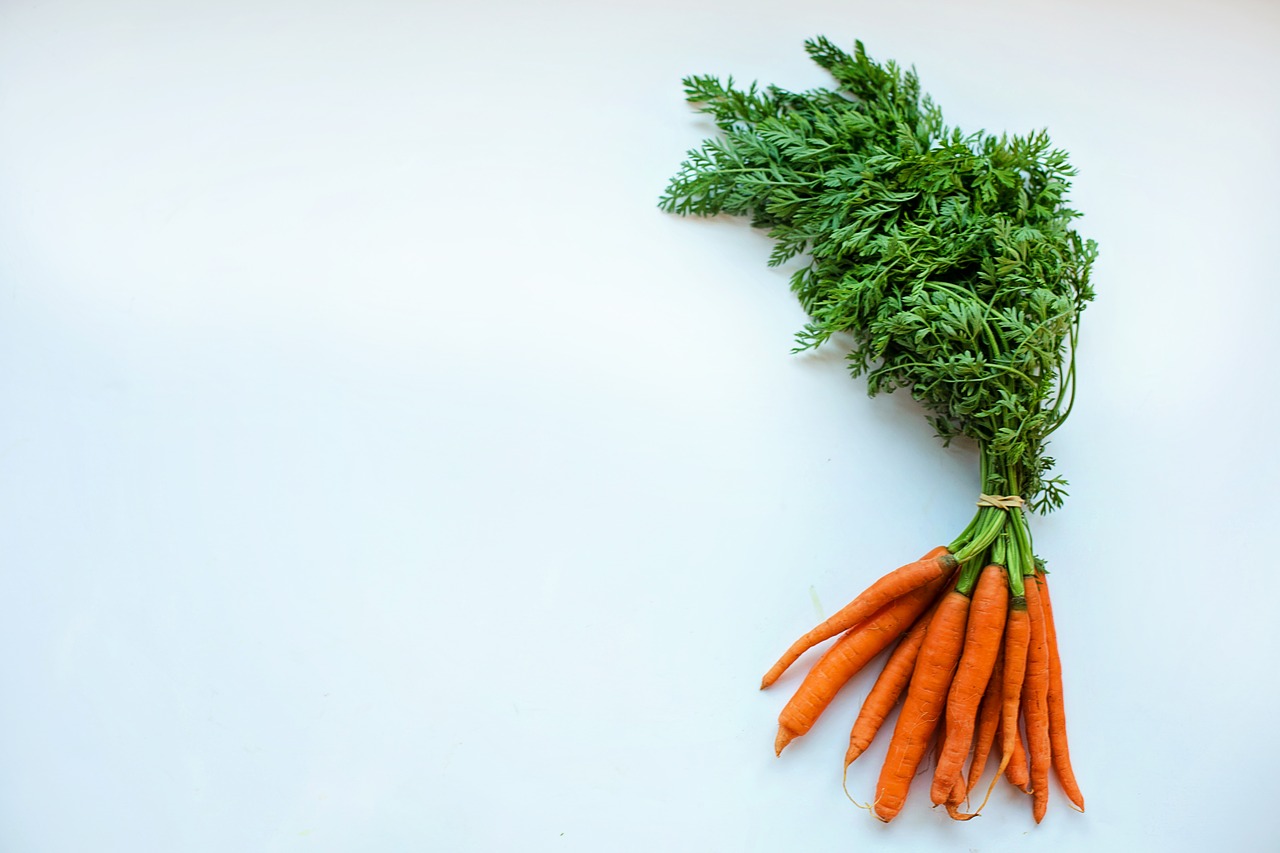 carrots food healthy free photo
