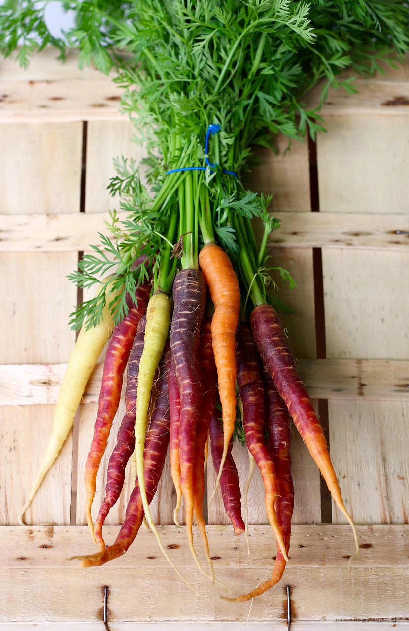 carrots veg vegetables free photo