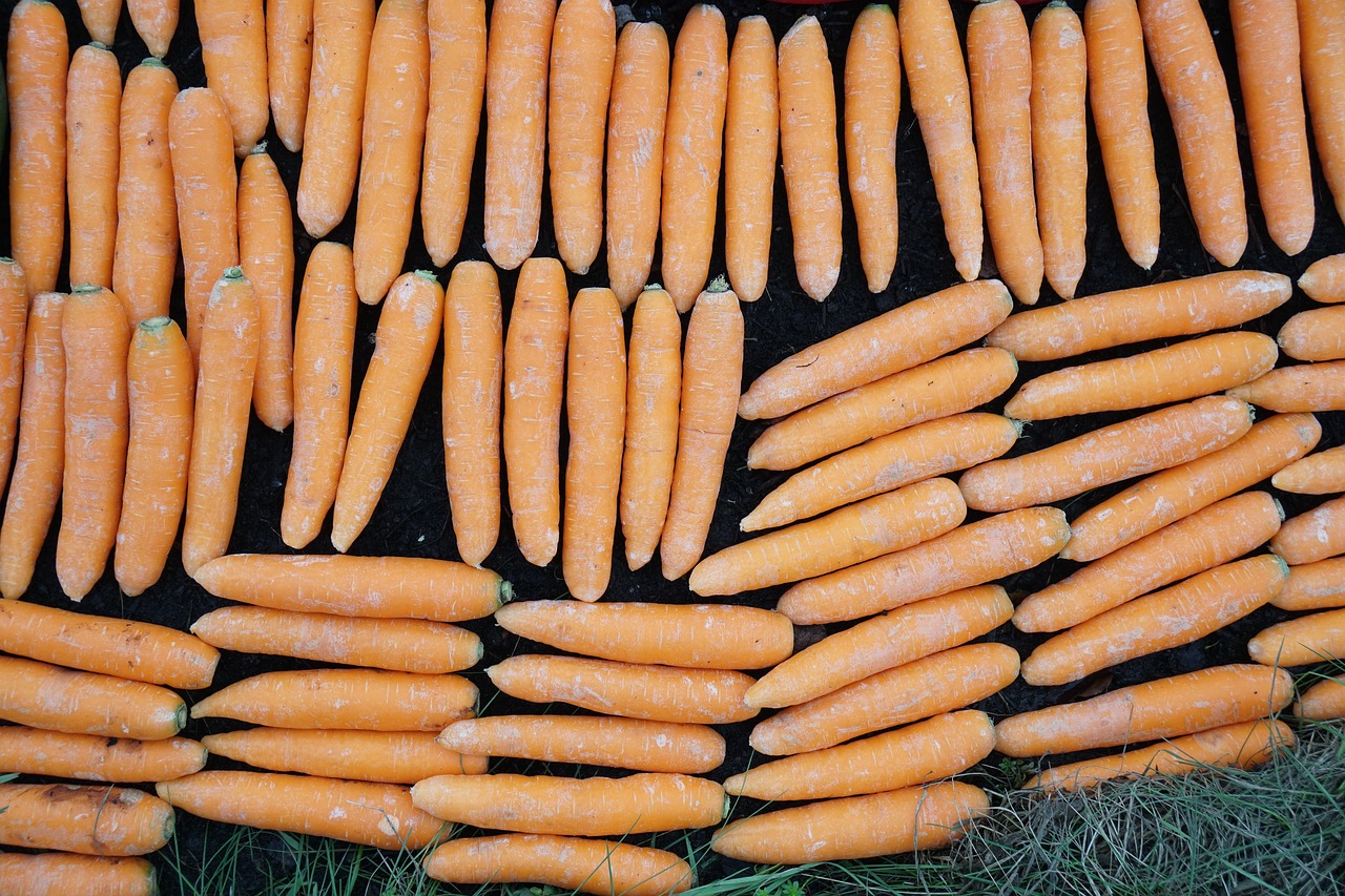 carrots  food  vegetables free photo