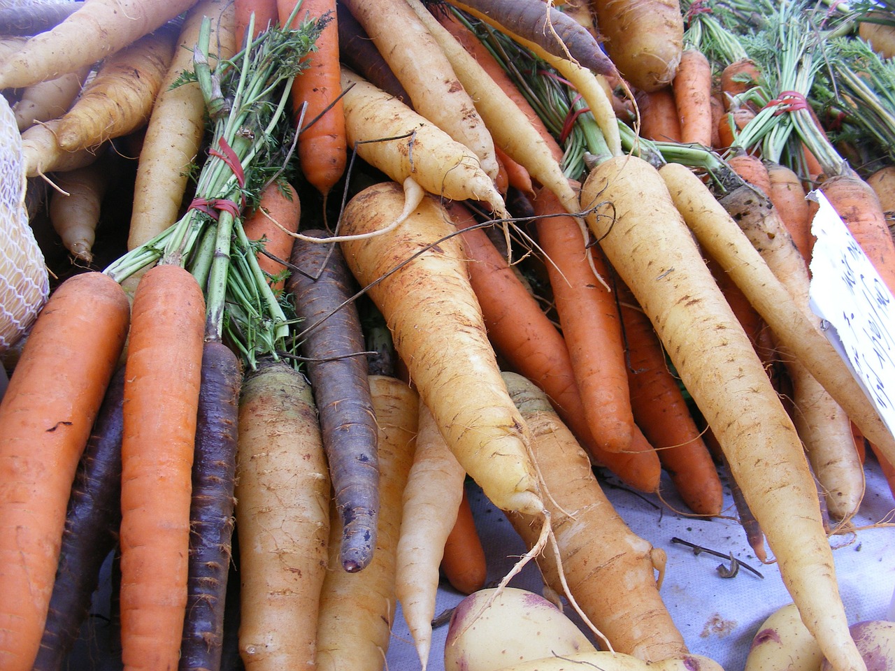 carrots fruits veggies free photo