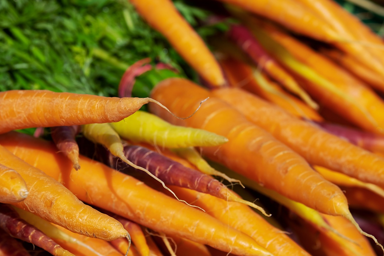 carrots  vitamins  nutrition free photo