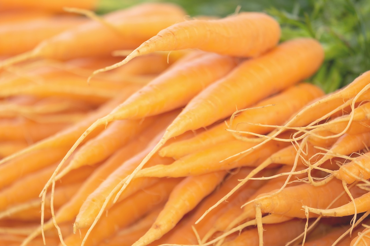 carrots  vegetables  bio free photo
