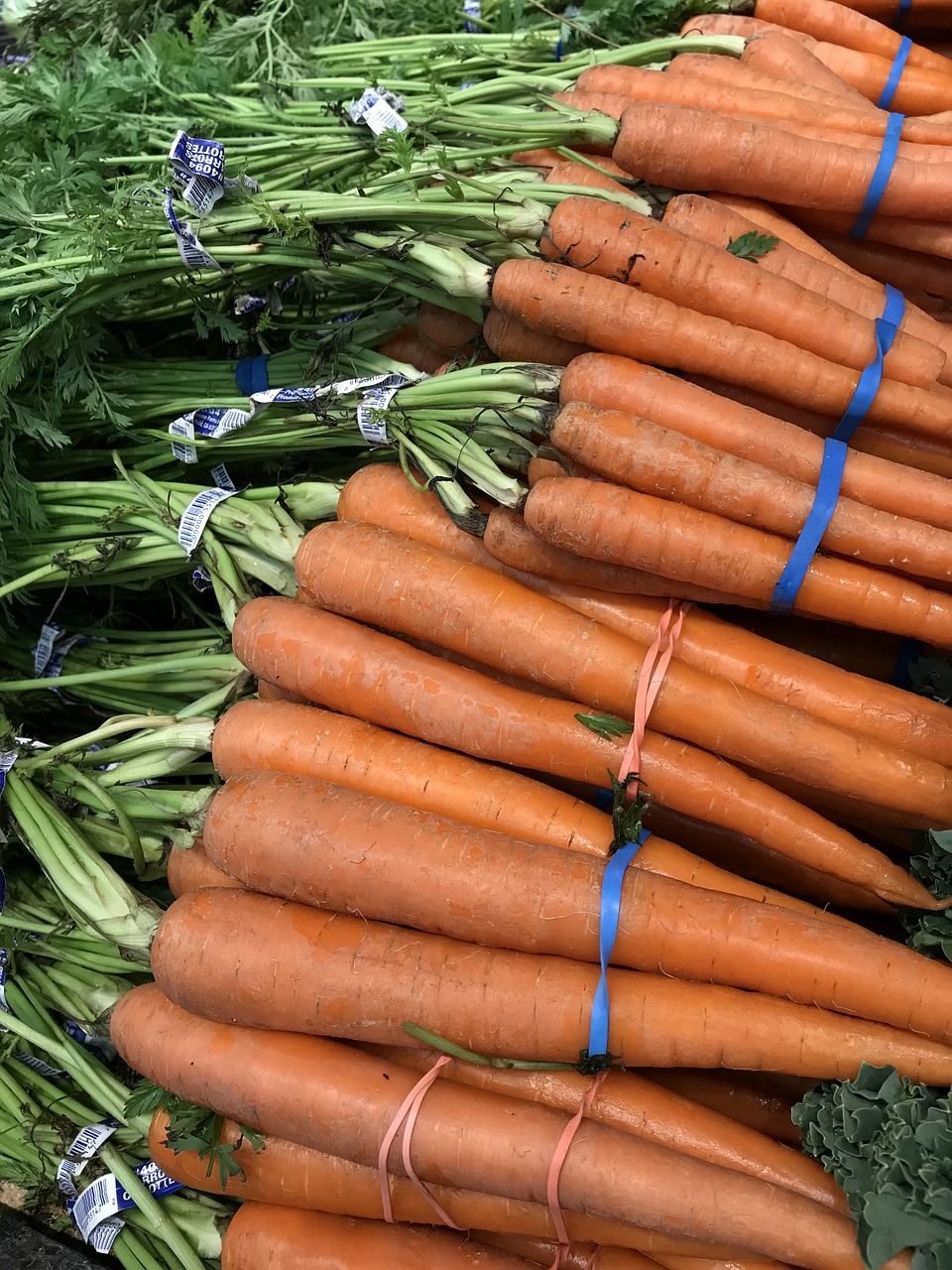 carrots  vegetables  food free photo