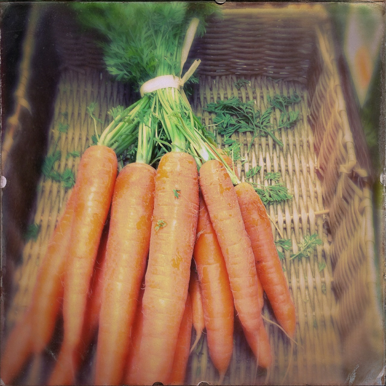 carrots bio basket free photo