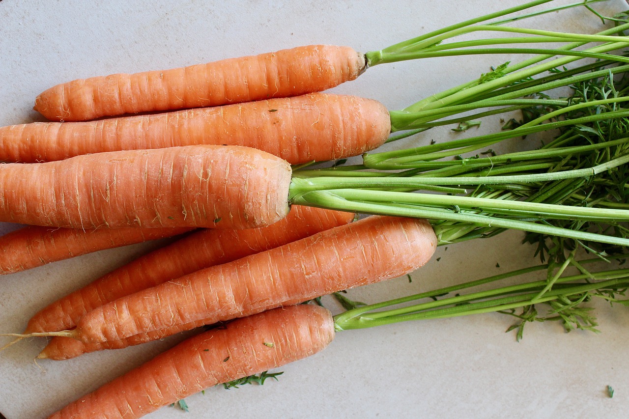 carrots  carrot  healthy free photo