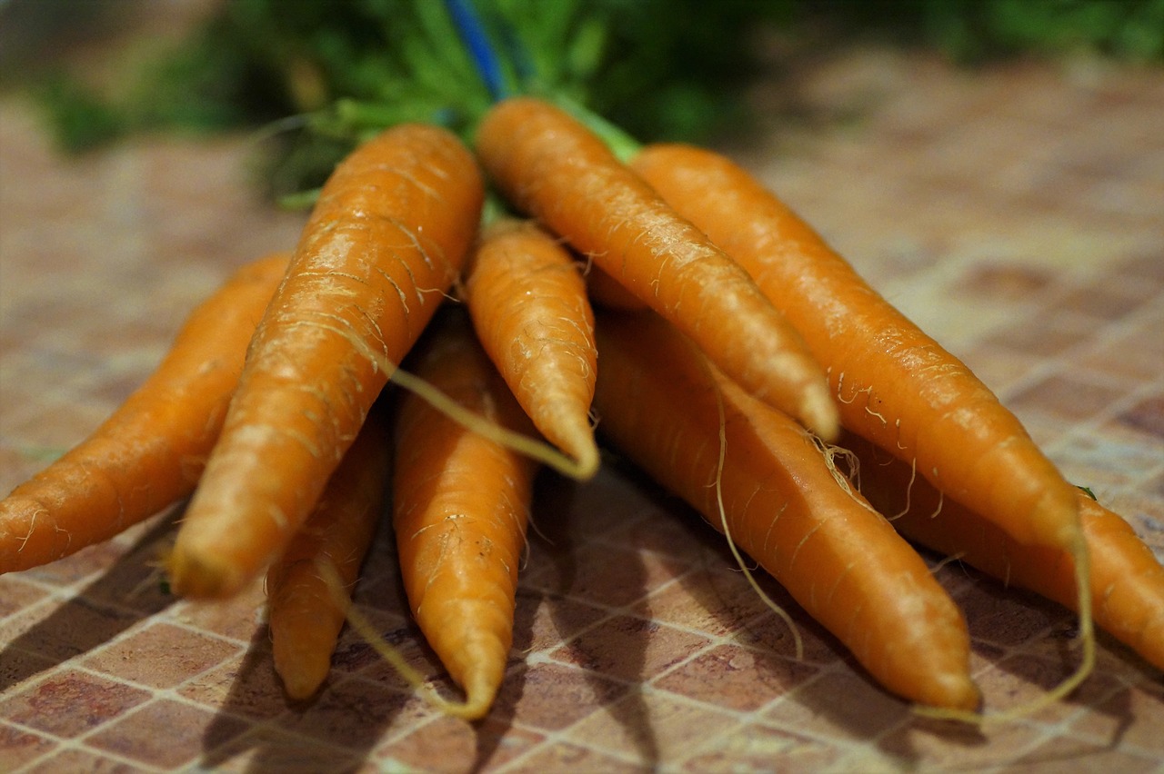 carrots  vegetables  healthy free photo