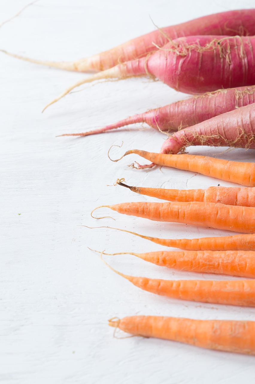 carrots  roots  background free photo