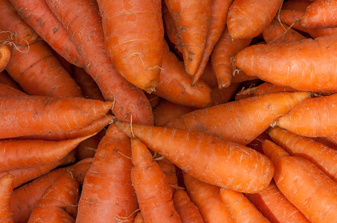 carrots fresh food free photo