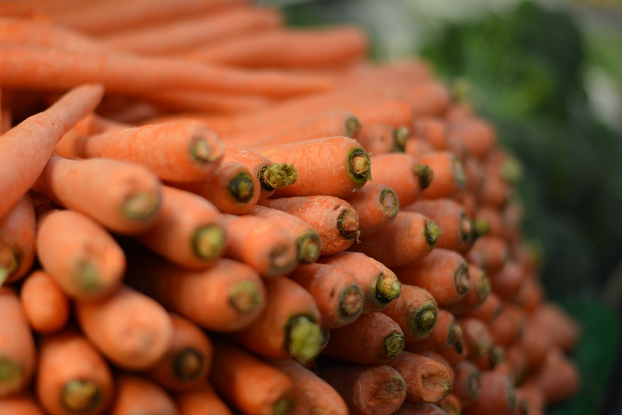 carrots vegetable healthy free photo