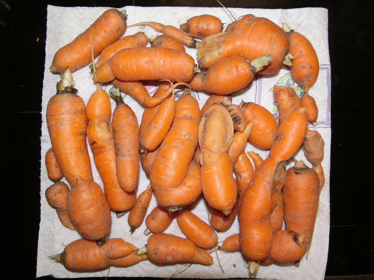 carrots vegetables salad free photo