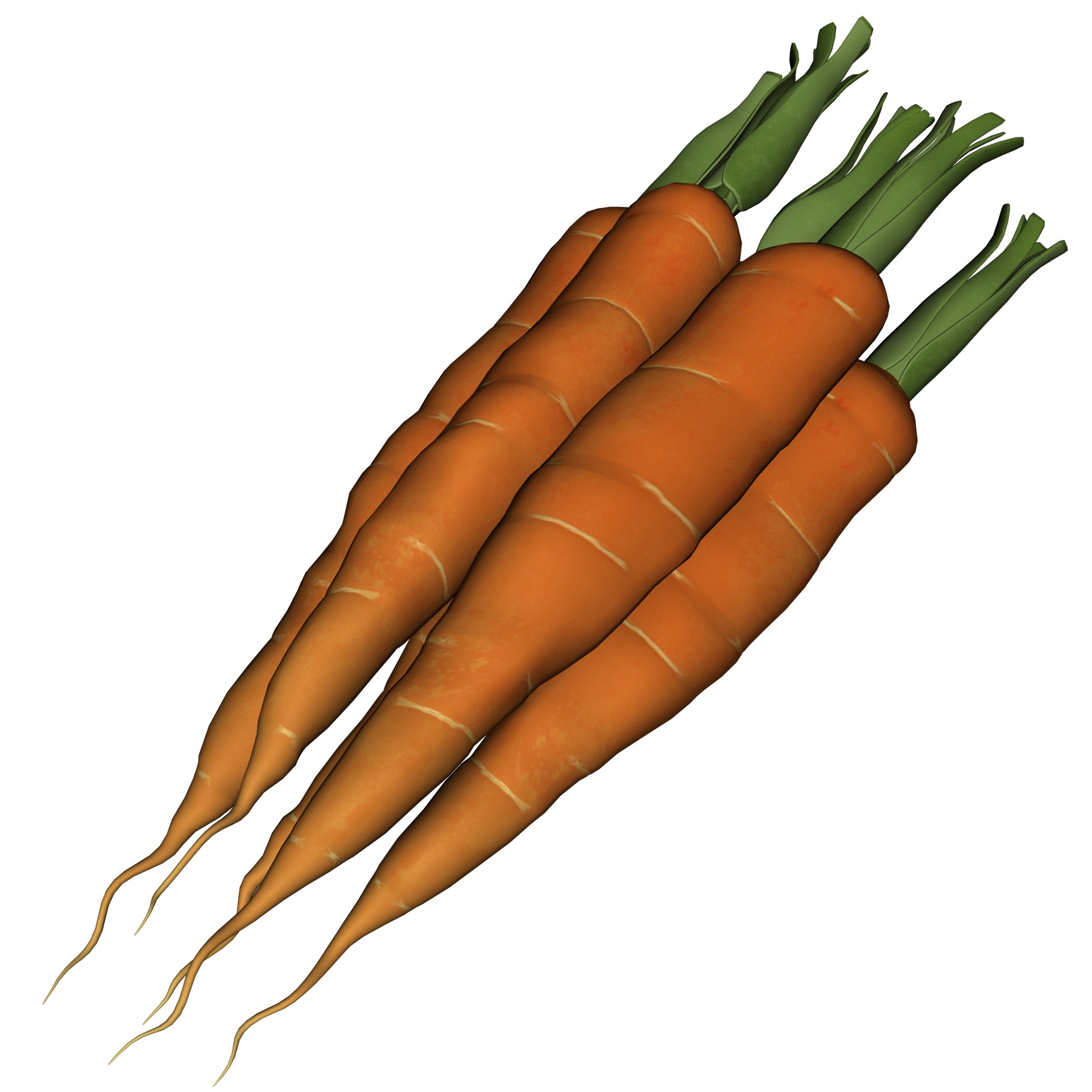 carrot closeup isolated free photo